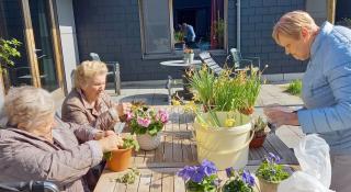 Bloemen planten 